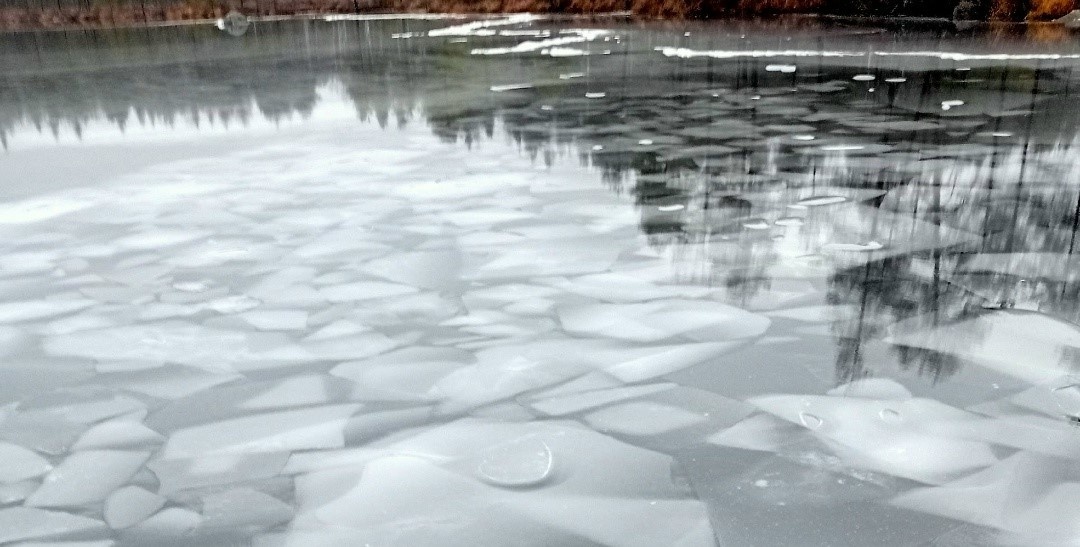    «Наша жизнь — Meijän elaigu» / Степан Ефремов