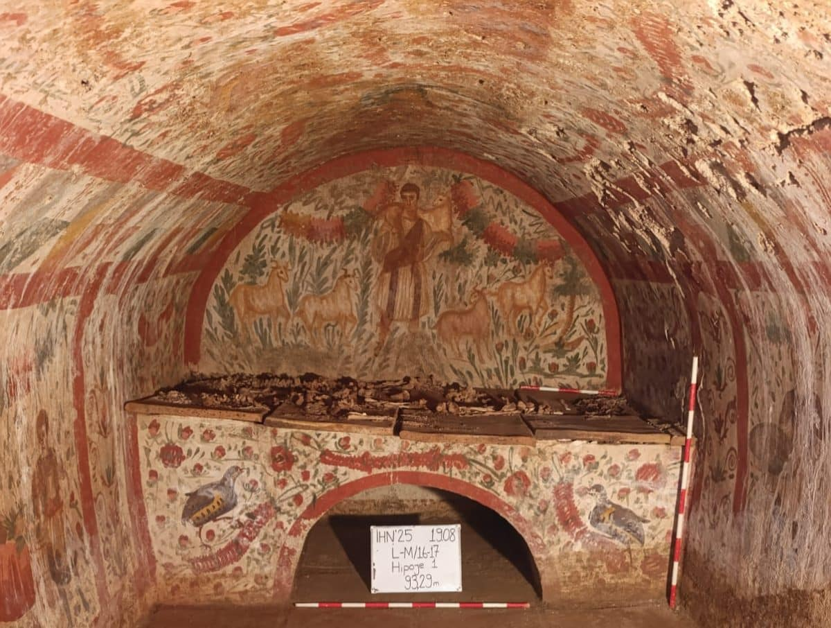 (источник: naked-science.ru)