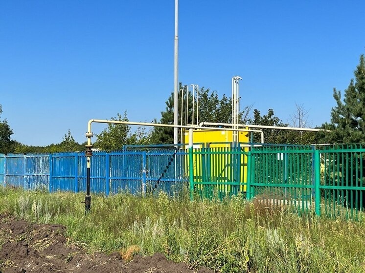     Фото: Сергей Климушев