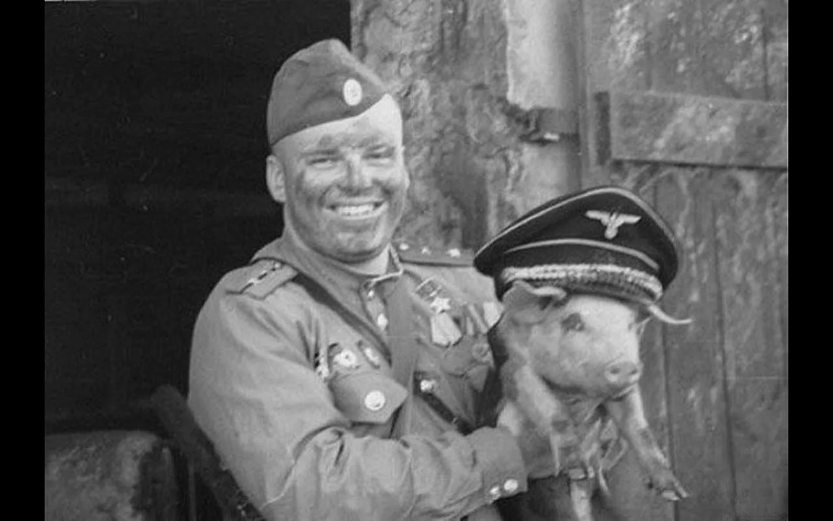 Яндекс картинки