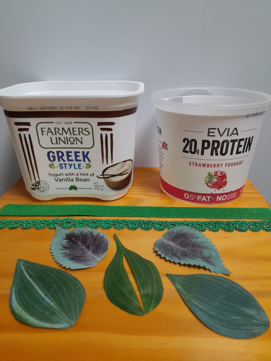 Листики тоже привезла-те, которые отвалились от ветра и жары от перегородки на балконе, так как обломились черешки. У двух видов жилки на листьях удалились легко, у третьего - просто вырезала, так как невозможно было их отделить, не испортив сам лист.