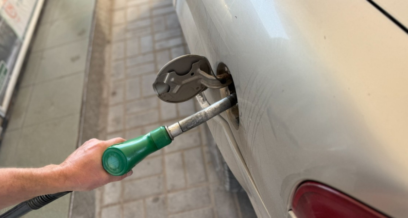    Автор фото — Анастасия Козлова