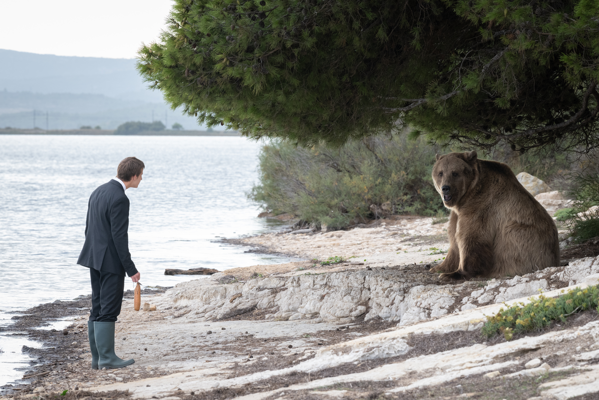    Предоставлено Okko