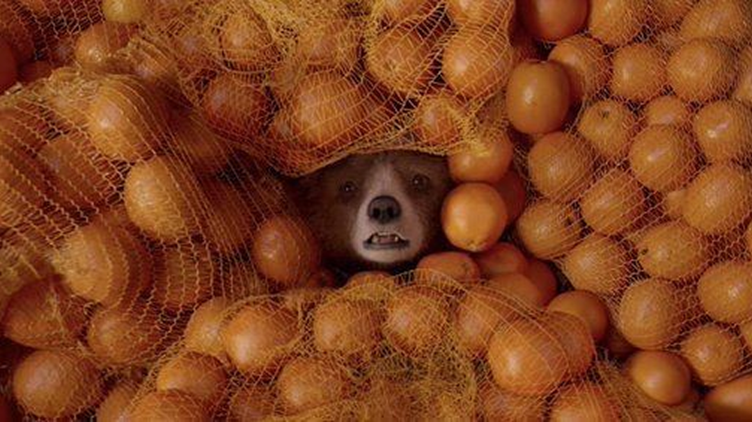 Кадр из фильма «Паддингтон»