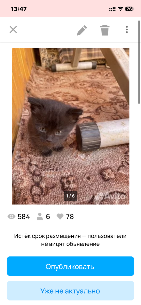 Скрин автора