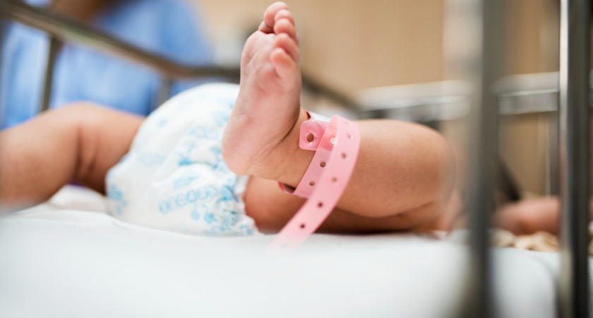    Фото: сайт Freepik