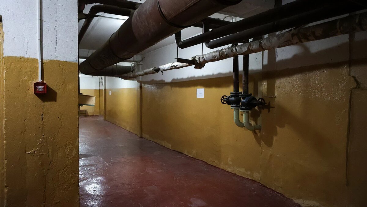    Фото: Антон Вергун