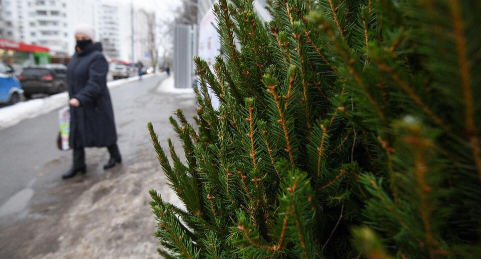    Медиасток.рф