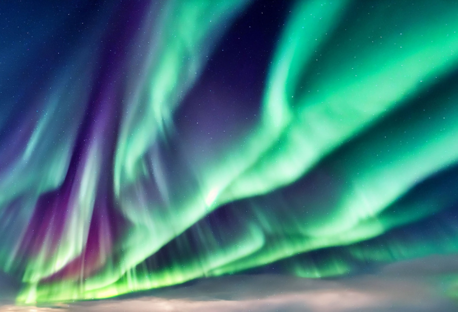    Shutterstock/FOTODOM