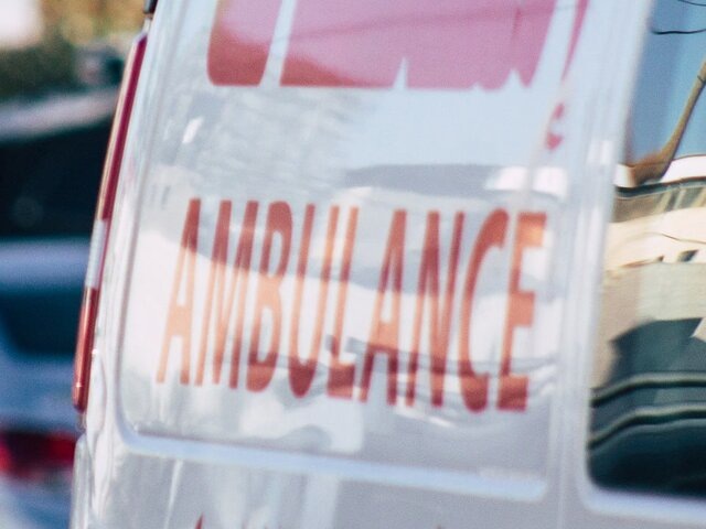    Фото: 123RF.com/joseh51