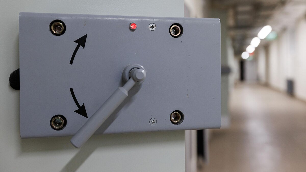    Фото: Sergey Elagin/globallookpress.com