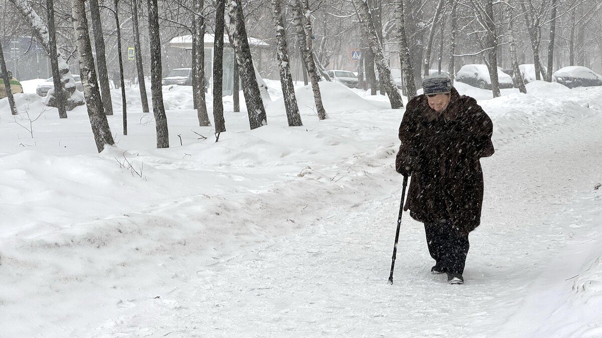    Фото: Alexander Legky/globallookpress.com