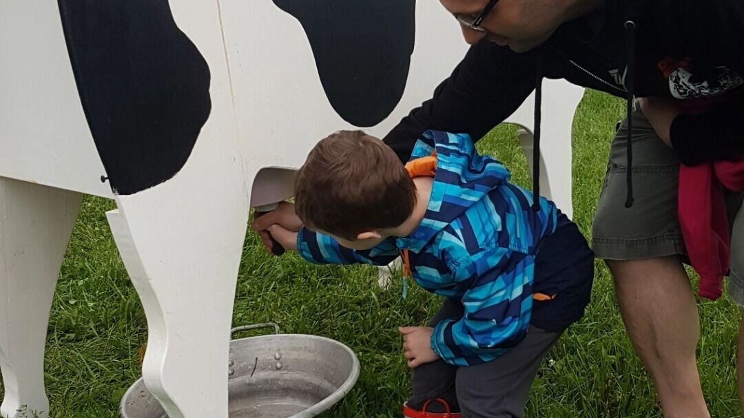    В детсадах и больнице Ставрополья нашли более 20 тонн фальсификата   Virginia State Parks/cc by 2.0/flickr.com