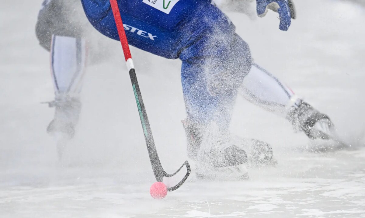     © РИА Новости. Максим Богодвид