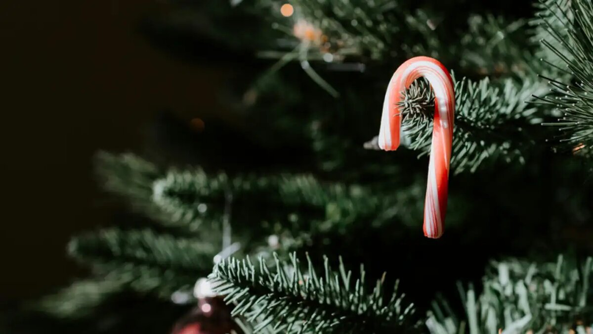     © Kelly Sikkema/Unsplash