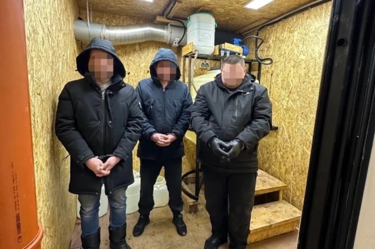    ФСБ накрыла крупную нарколабораторию в Удмуртии