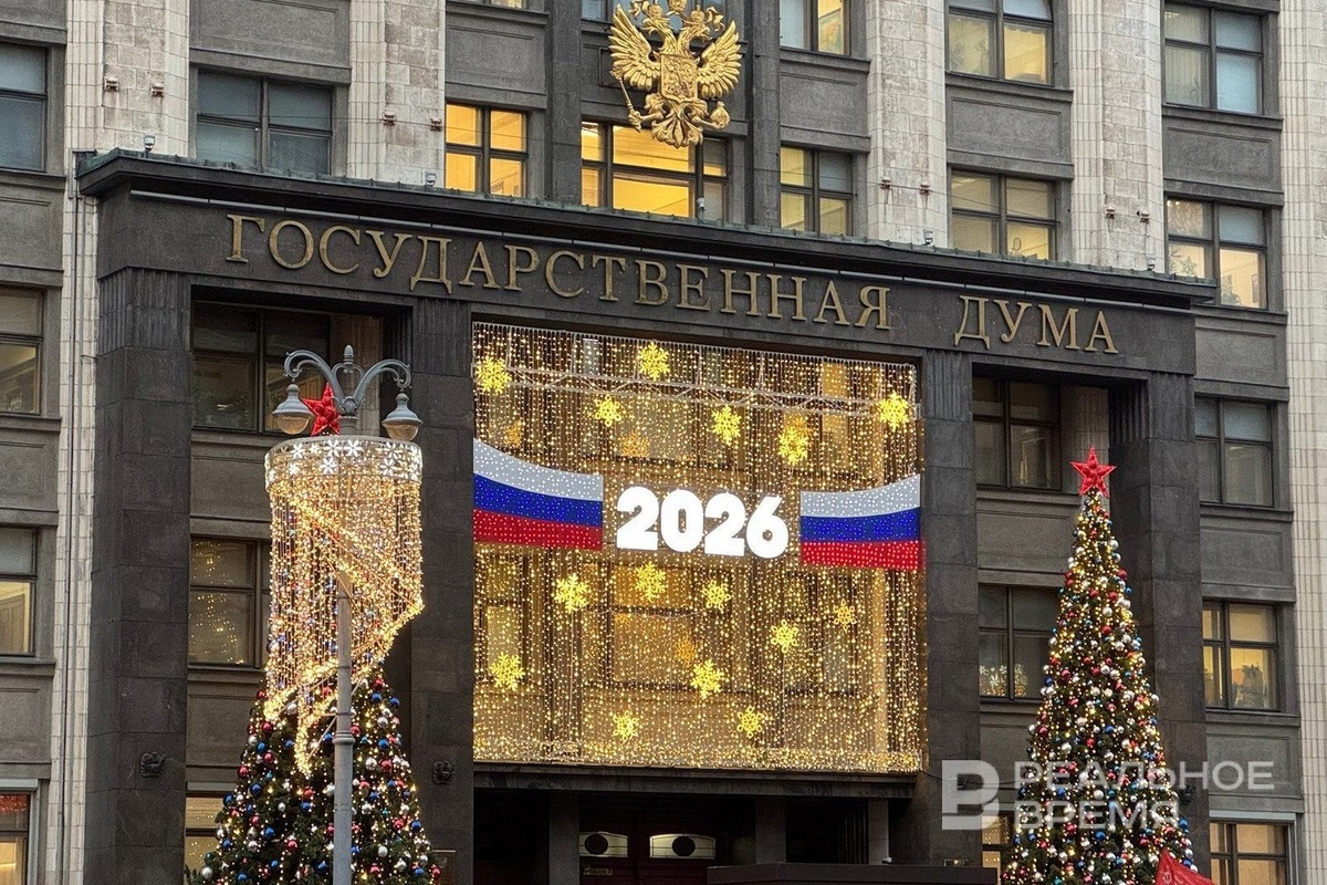   Дарья Пинегина / realnoevremya.ru