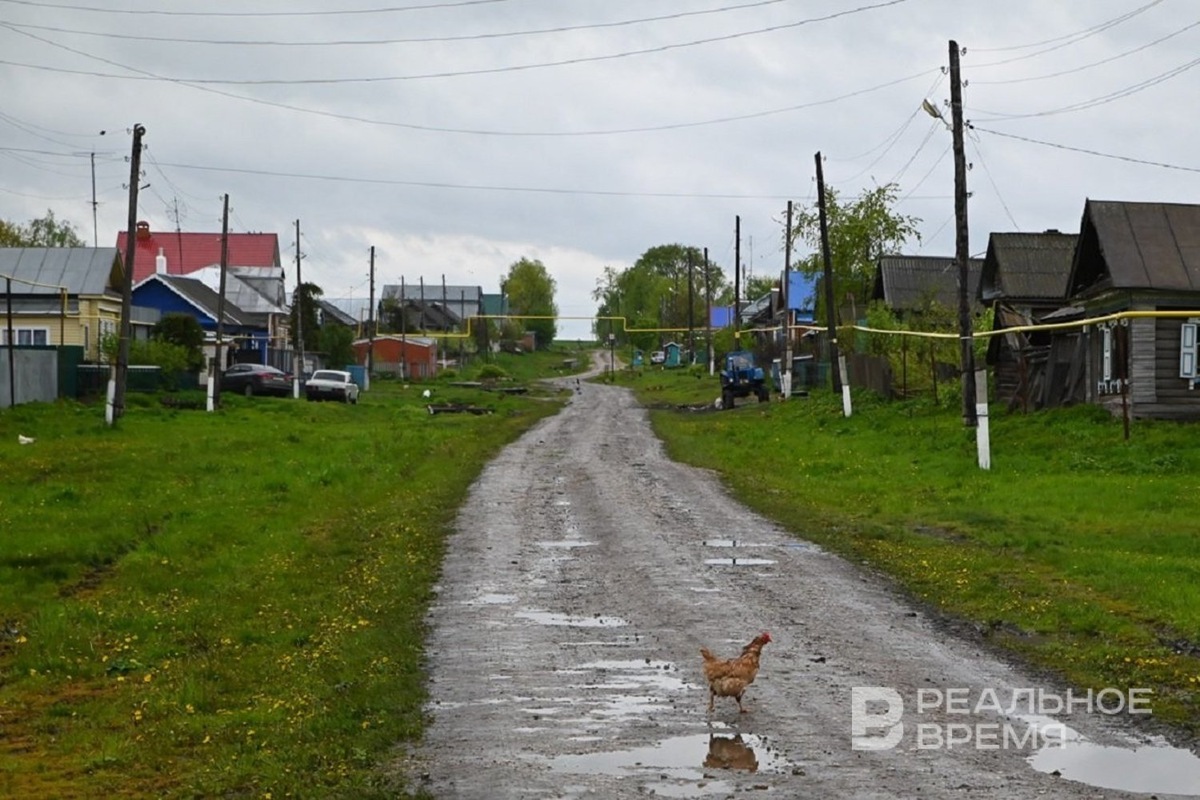   Максим Платонов / realnoevremya.ru