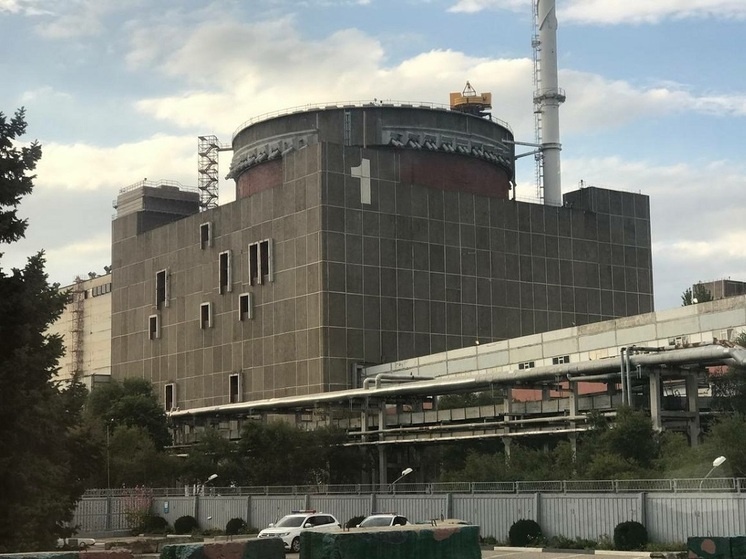     Фото: Dmitry Grigoriev/Argumenty i Fakty/Global look press