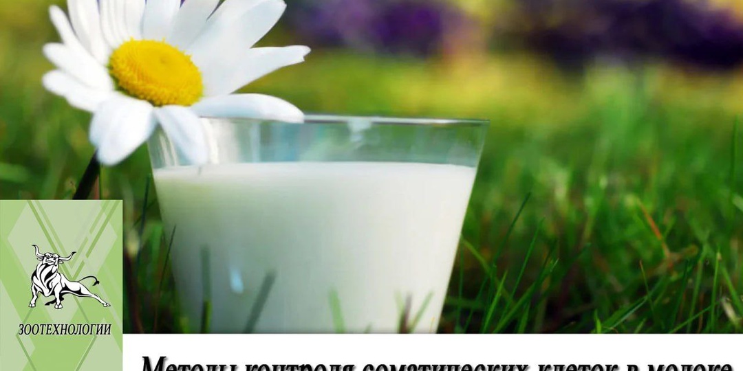 Методы контроля соматических клеток в молоке