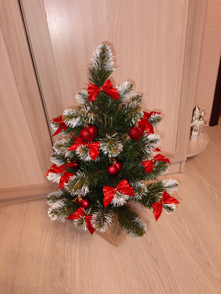 Маленькая ёлочка. Фото автора 