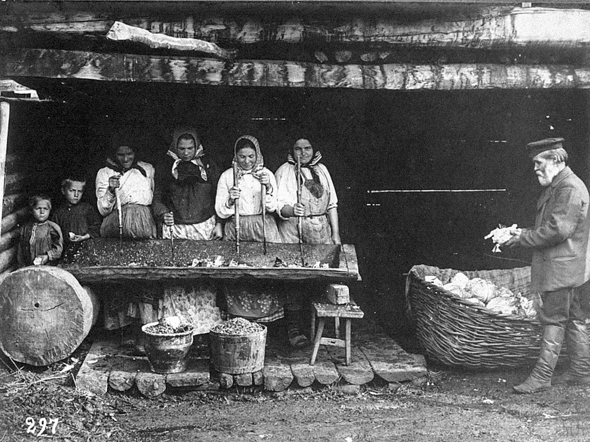 Рубка капусты. (С) Кунсткамера/Russia in photo
