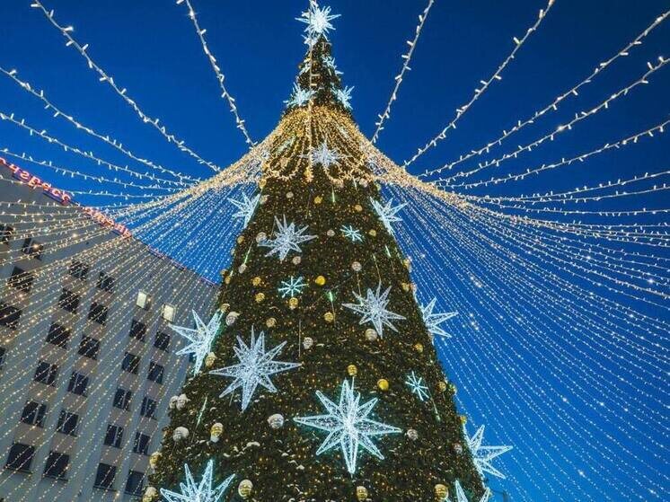     фото: пресс-служба правительства Мурманской области.