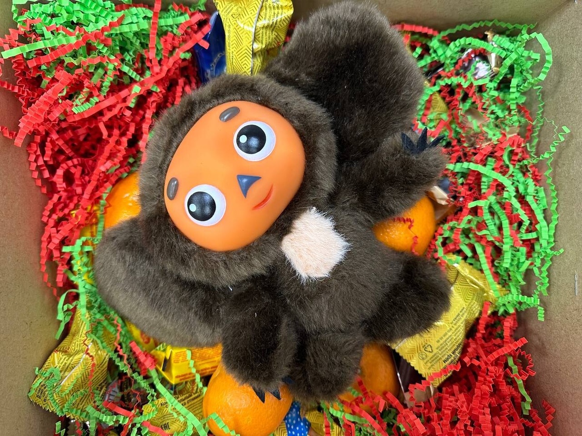     Фото: Бриф24