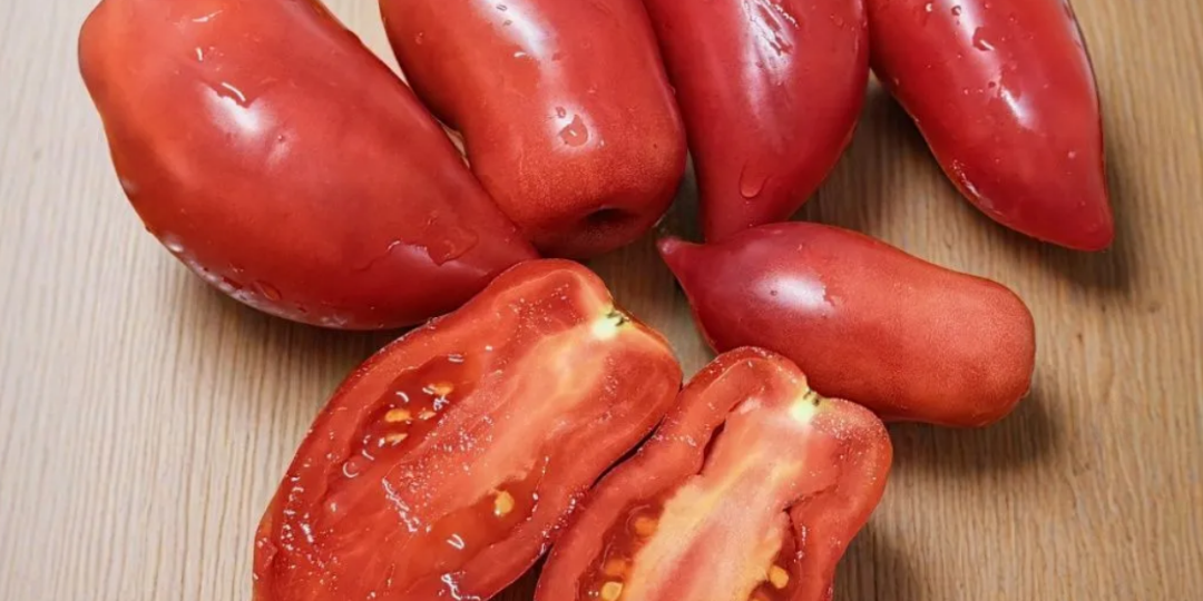 Томат Рога Изобилия