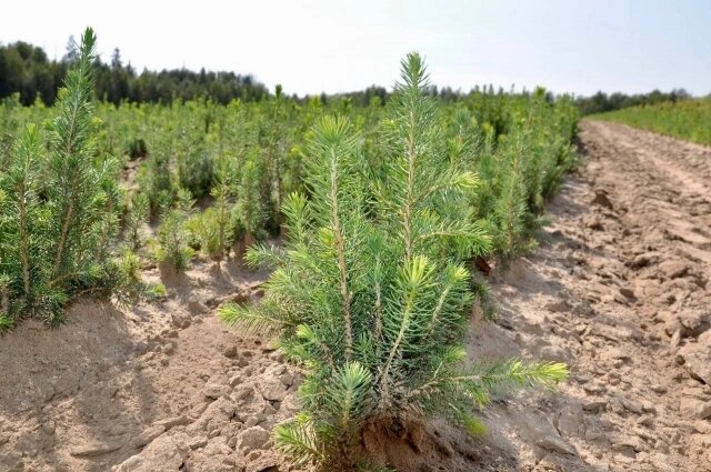    Фото: Пресс-служба АО Транснефть-Дружба