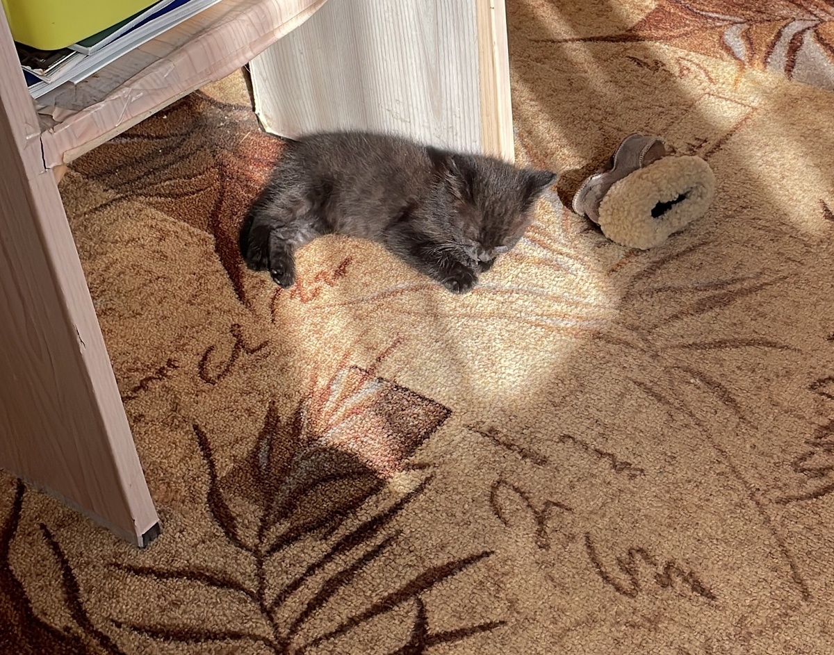 Фото автора