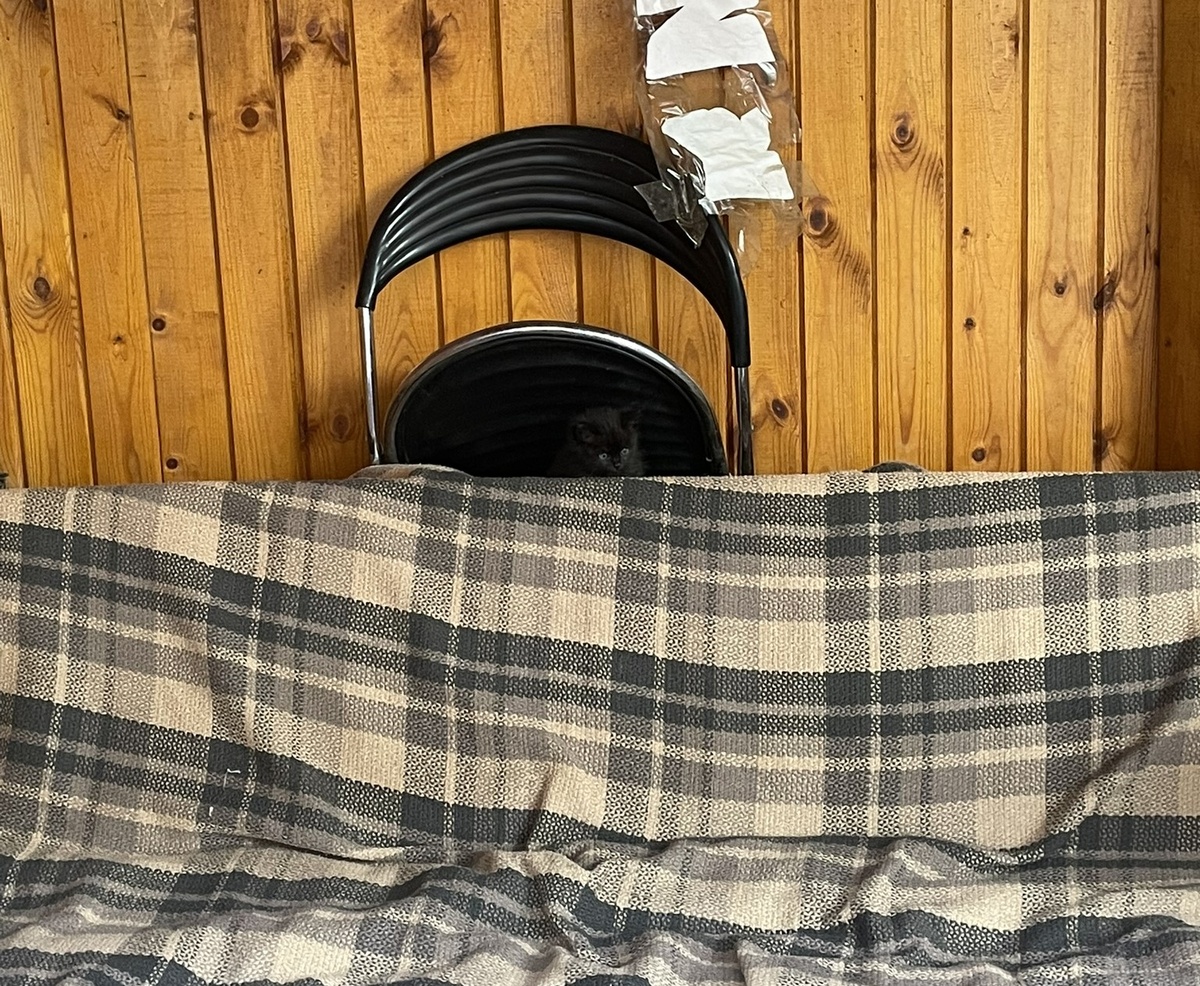 Фото автора 