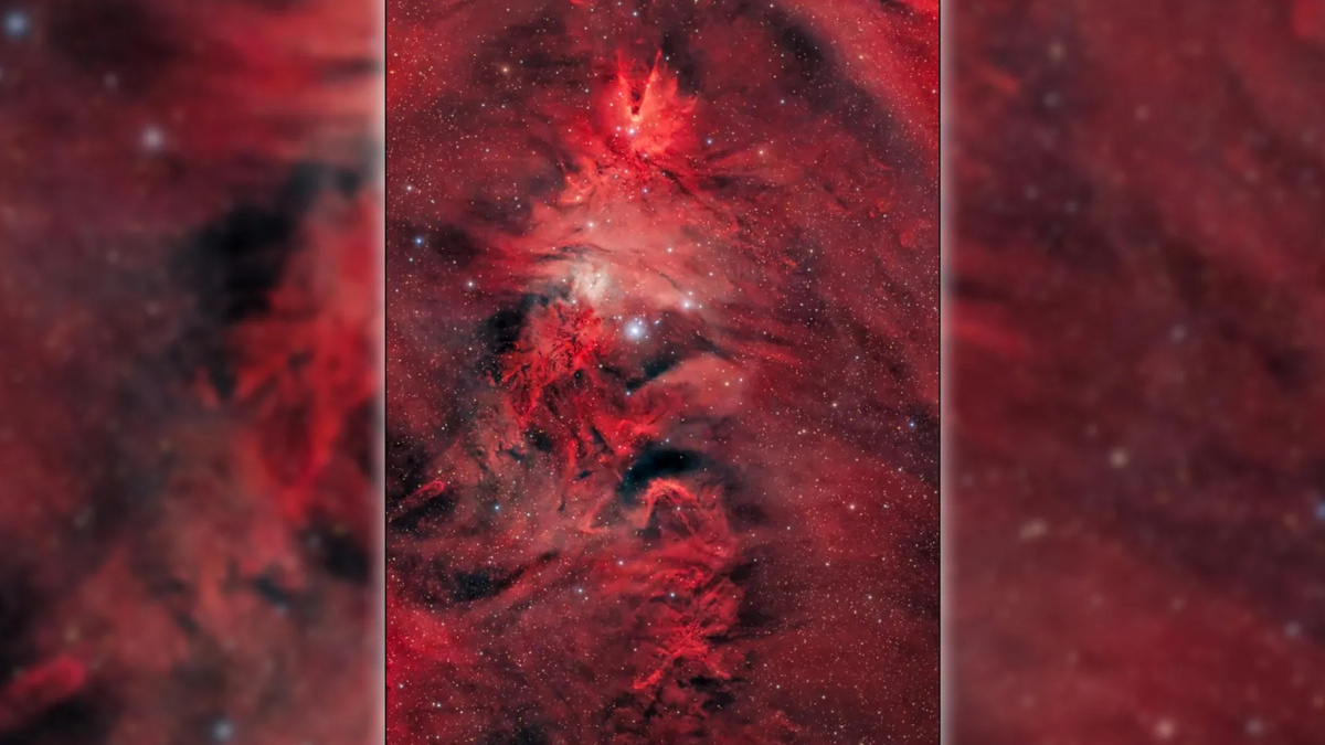     Фото: NASA    
Звездное скопление в 2700 световых годах от Земли сильно напоминает праздничное дерево.