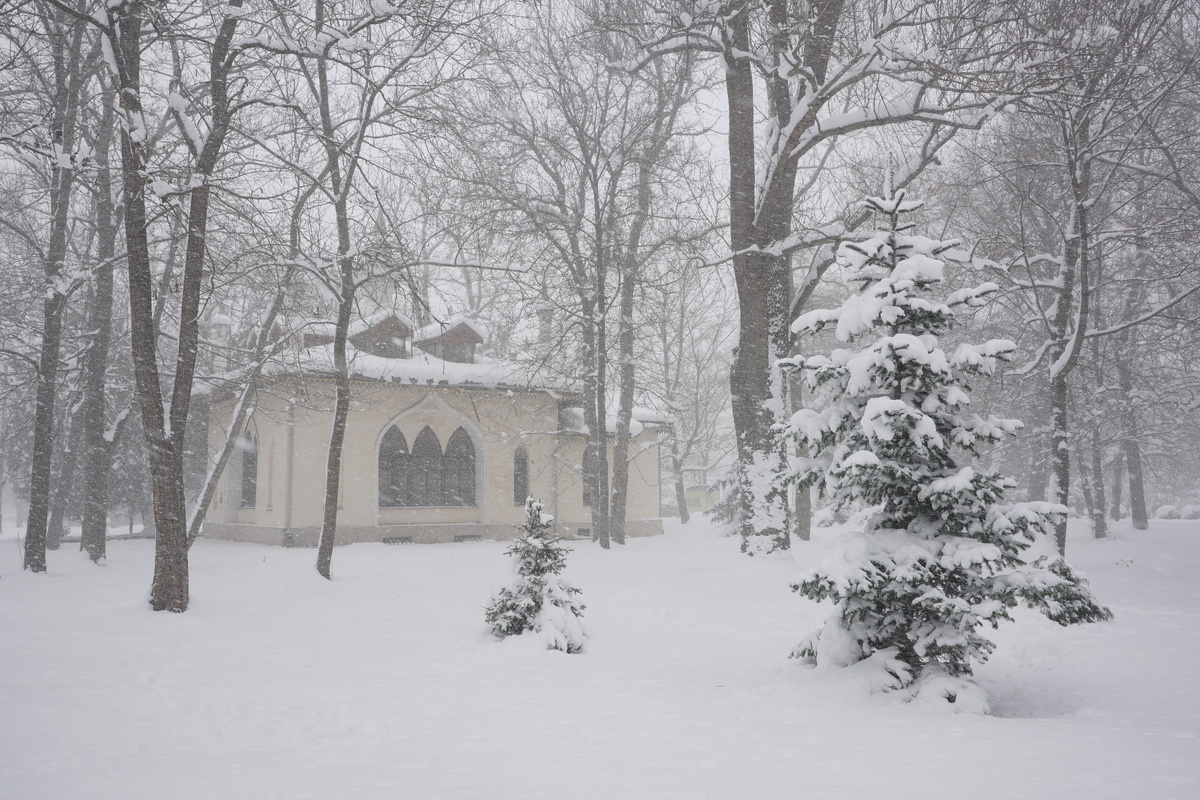 Зима в Симферополе
Фото: Виталий Еременко