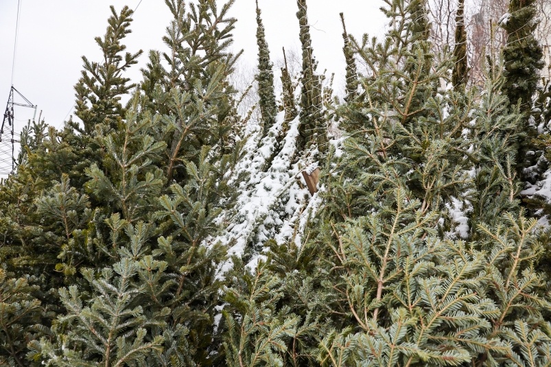     Тематическое фото. Фото: ИА OmskMedia