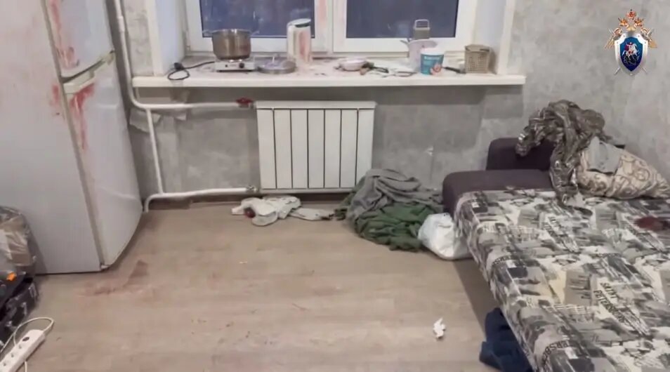    Фото: скриншот из видео пресс-службы ГСУ СК России по Красноярскому краю и Республике Хакасия