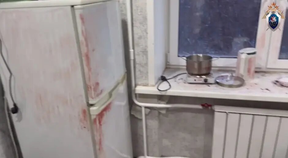    Фото: скриншот из видео пресс-службы ГСУ СК России по Красноярскому краю и Республике Хакасия