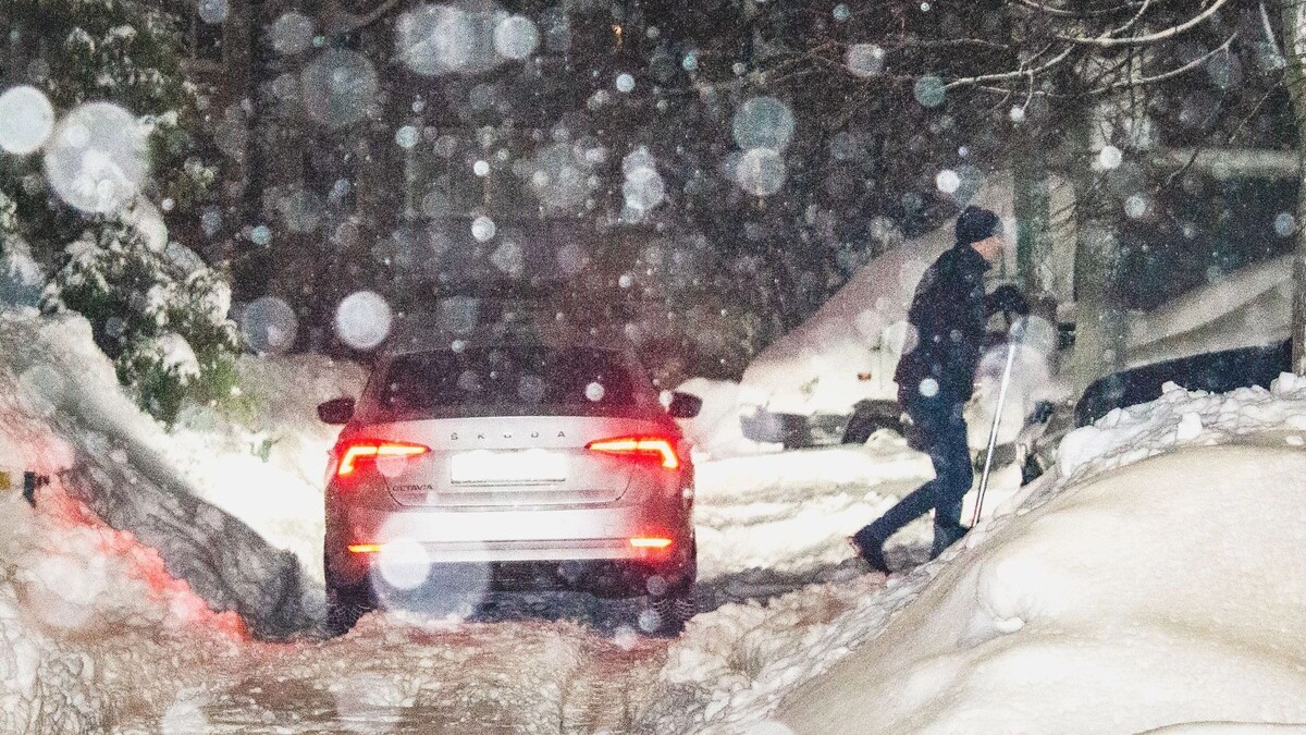    Снег будет идти почти все выходные в Белгородской области   1MI