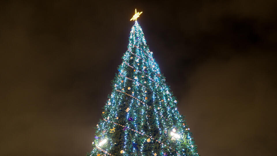     Вандалы разгромили новогоднюю елку в Приморье Дмитрий Рогулин/ТАСС