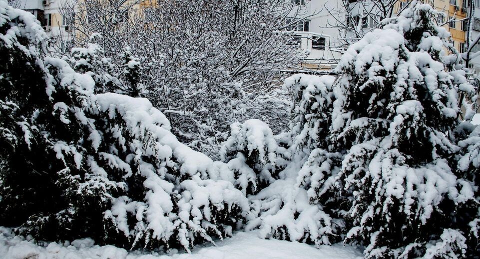    Roman Denisov, Роман Ден / www.globallookpress.com