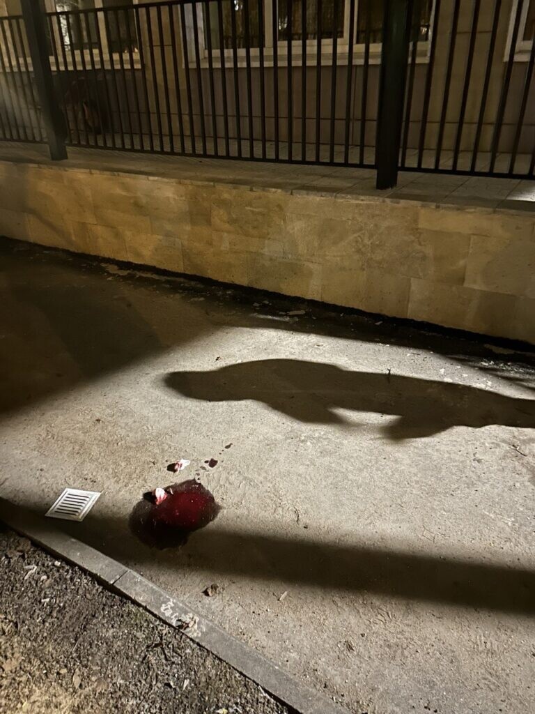    Фото: пресс-служба Северо-Западной межрегиональной Гострудинспекции