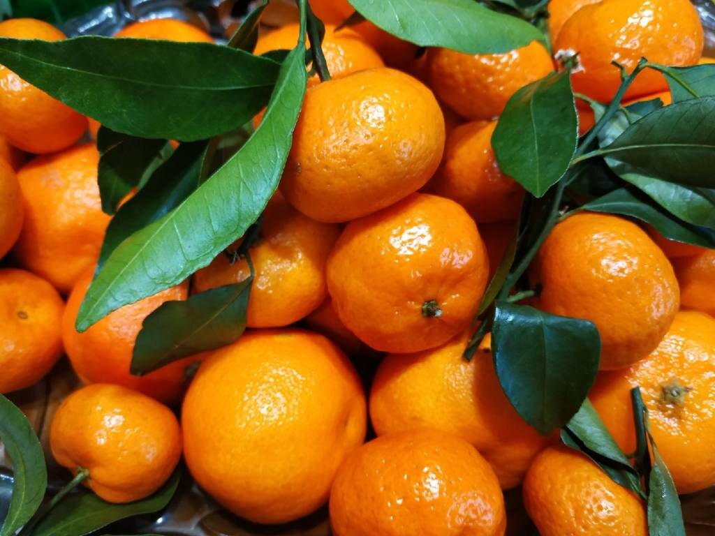     фото: Елена Костюченкова