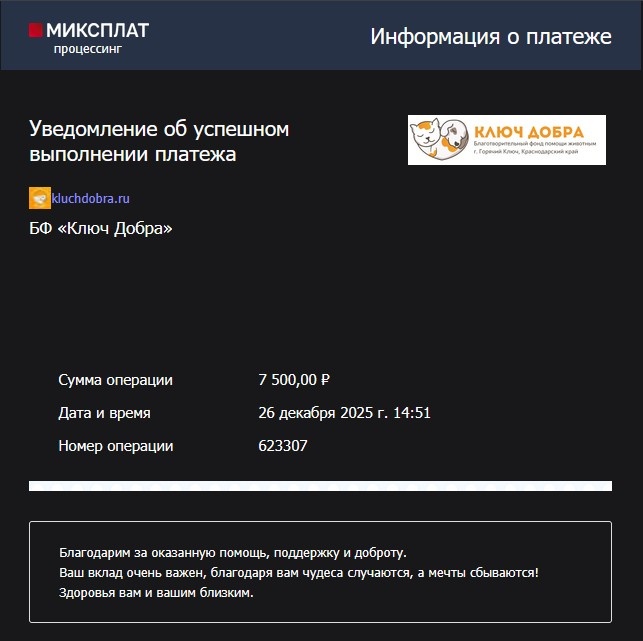 Перевод в фонд "Ключ Добра"