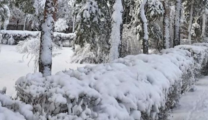 Иллюстрация: © «Панорама»