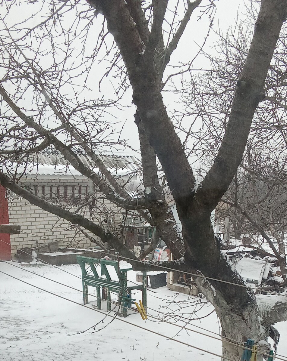 Личное фото 