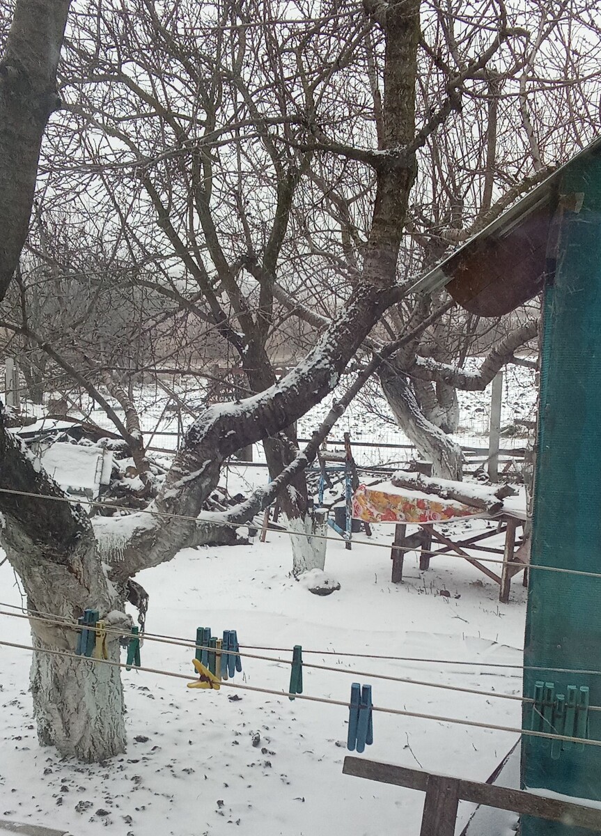 Личное фото.