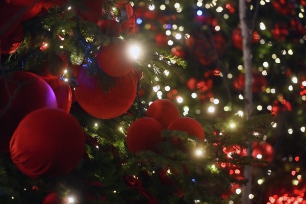 Фото: РИА Новости