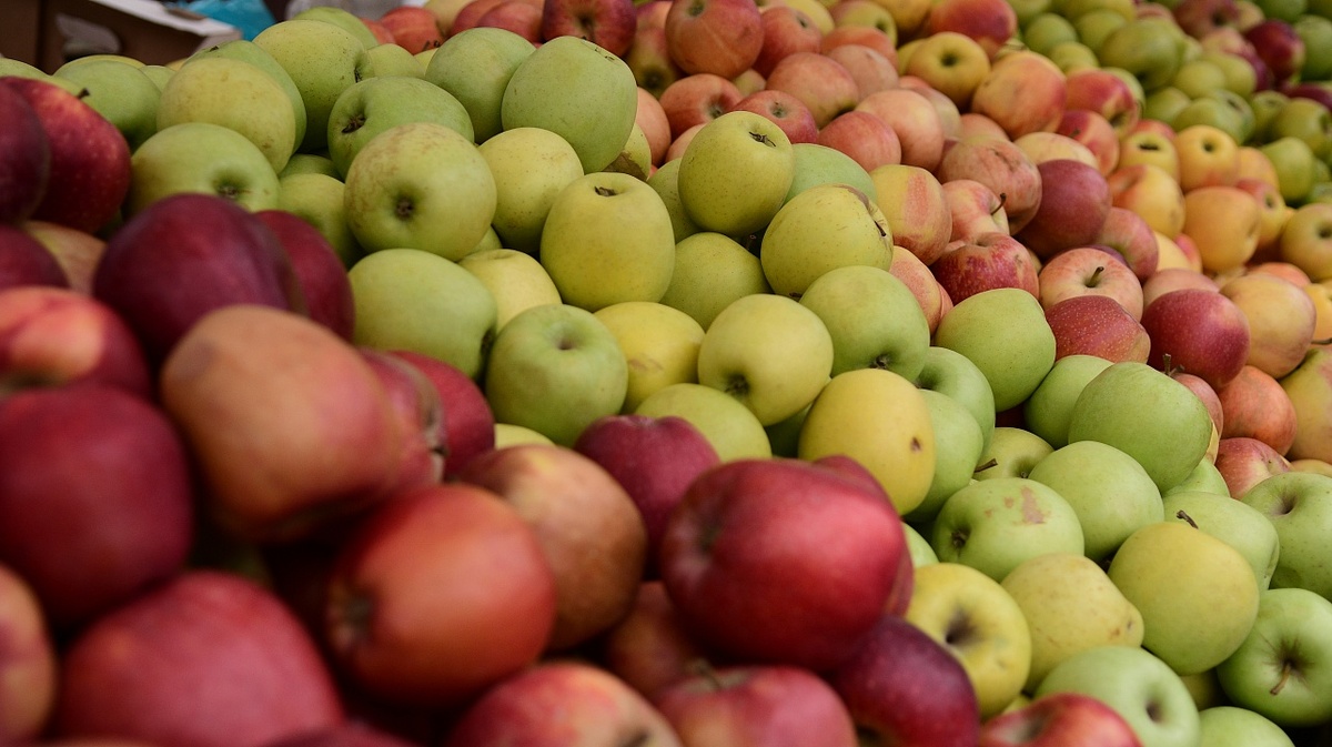     Фото: Александр Райко