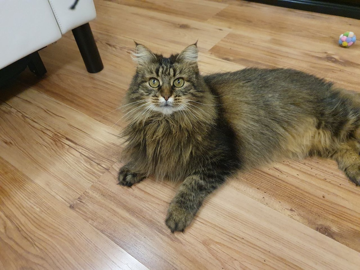 Грешно господа, грешно! Номер моей спасительницы в конце статьи:) Прочитаешь - набери