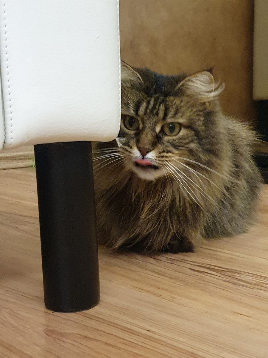 Я с вами соглашусь. Я магическое совершенство:)